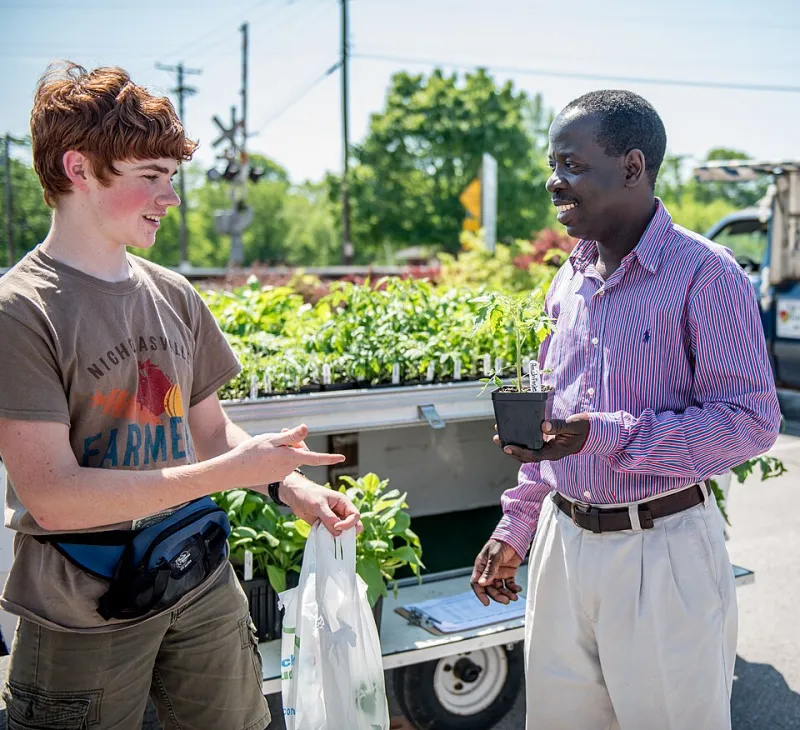 Fresh, Local, and Delicious: Your Complete Guide to Eating Well in Danville Through Every Season