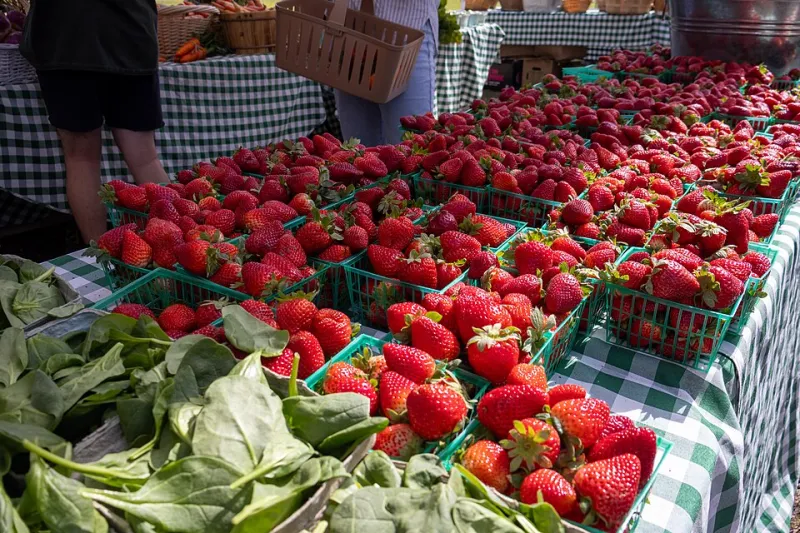 Honey, Hot Sauce, and Heritage Grain: The Local Food Producers Putting Danville on the Culinary Map